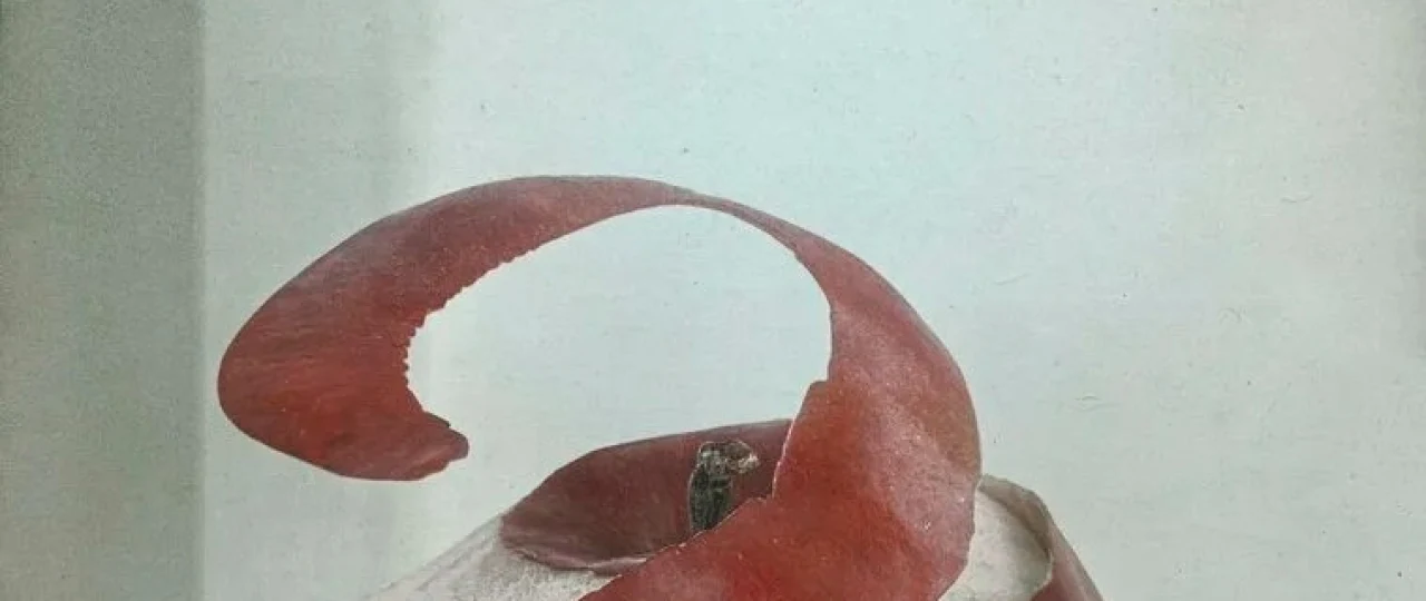 Olmalar / Mila Premyera 2020 Uzbek tilida O'zbekcha tarjima kino Full HD tas-ix skachat