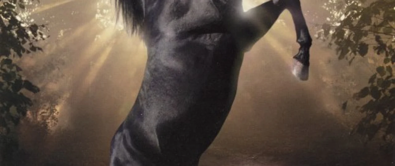 Qora toychoq / Qora go'zallik Uzbek tilida 1994 O'zbekcha tarjima film Full HD skachat