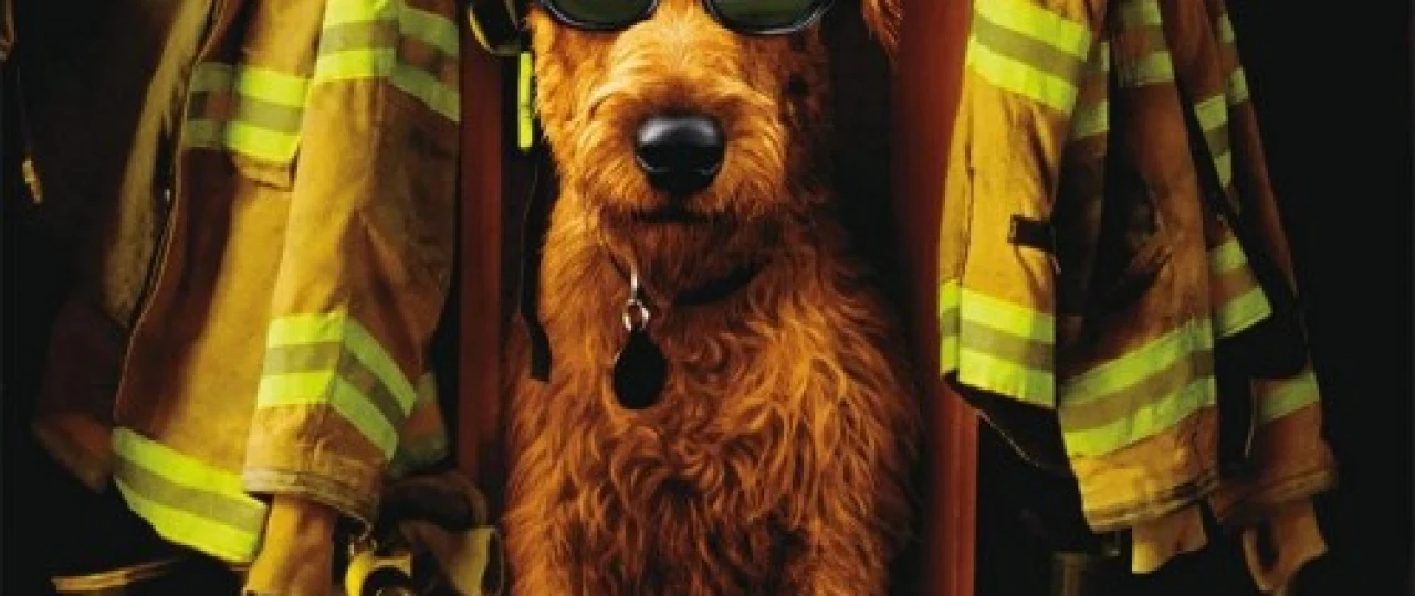 O't o'chiruvchilar Uzbek tilida 2006 kino HD