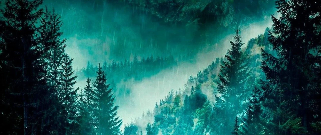 Tabiat asirida / Hayot uchun kurash / Meyn tog'larida yo'qolgan 2024 Uzbek tilida O'zbekcha tarjima kino Full HD tas-ix skachat