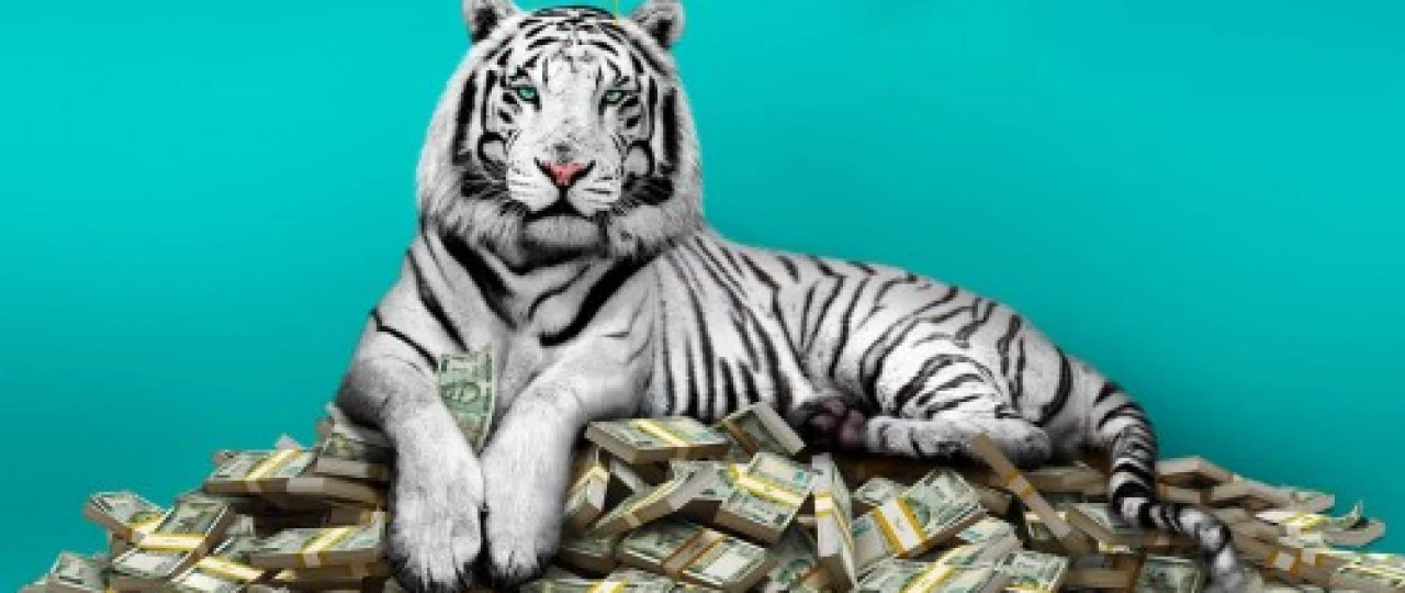 Oq yo'lbars Hind kino Uzbek tilida 2020 O'zbekcha tarjima kino HD