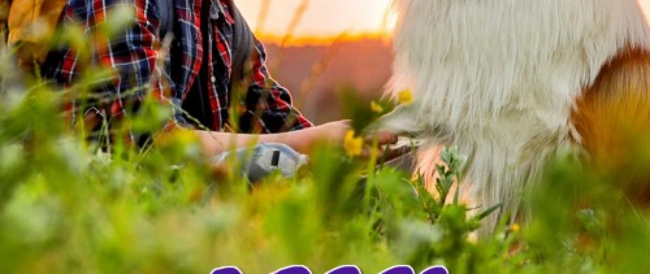 Lessi: Uyga qaytish Uzbek tilida 2020 O'zbekcha tarjima kino HD