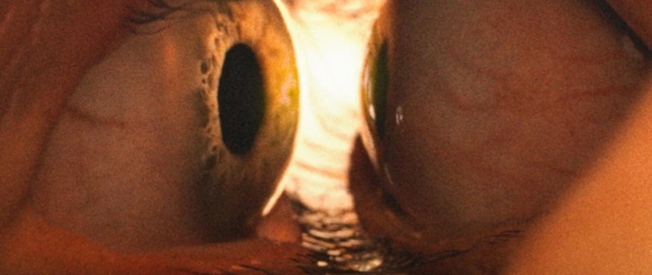 Yagona tana / Birgalikda Premyera 2025 Uzbek tilida O'zbekcha tarjima kino Bir badan Full HD tas-ix skachat