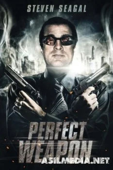 Совершенное оружие