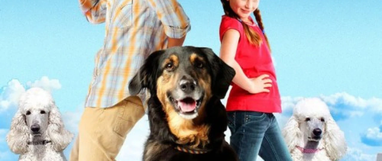 Mening dadam va do'stim / Itim / Kuchugim Uzbek tilida 2012 O'zbekcha tarjima kino HD