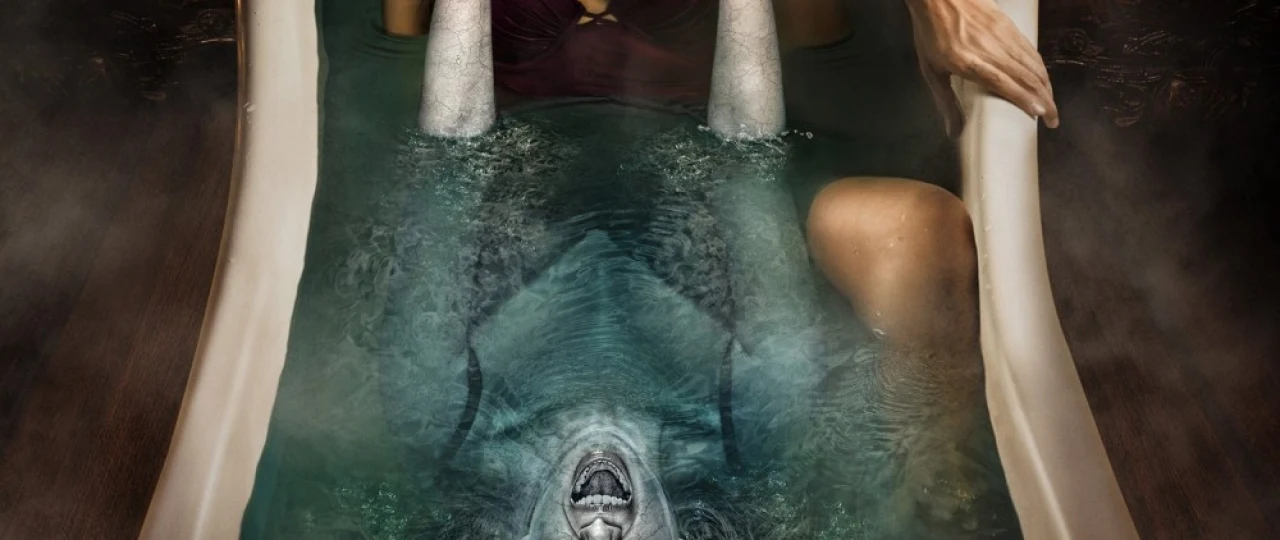 Yolg'iz / Arvoh ayol yolg'izlikda 2015 Uzbek tilida O'zbekcha tarjima kino Full HD tas-ix skachat