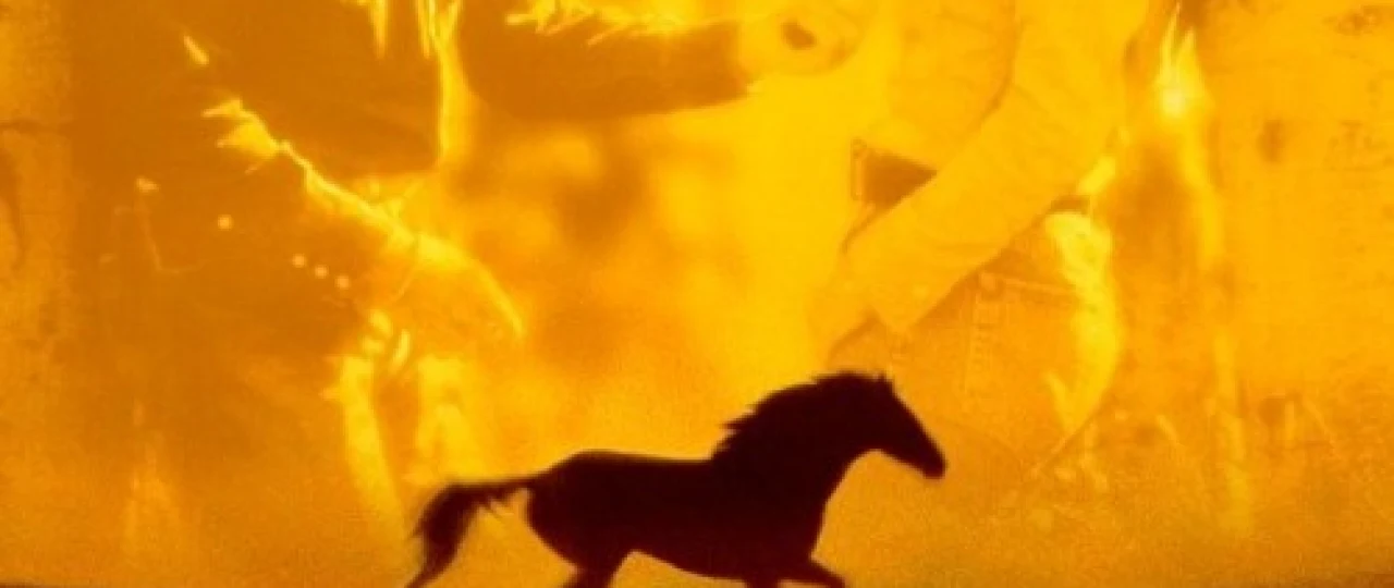 Otlar afsungari Uzbek tilida 1998 O'zbekcha tarjima film Full HD skachat