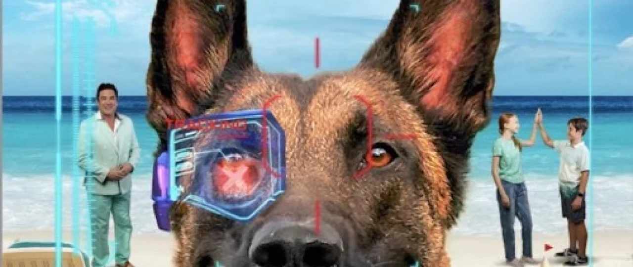 Roboit Uzbek tilida 2023 O'zbekcha tarjima kino HD