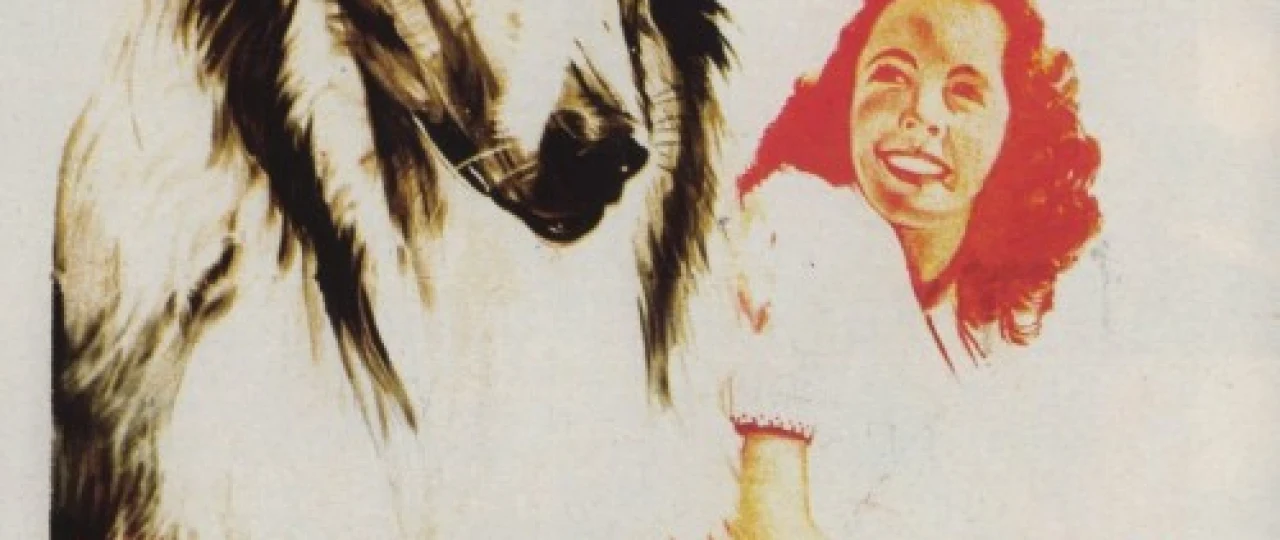 Lessi Uyga Qayt Uzbek tilida 1943 O'zbekcha tarjima kino HD