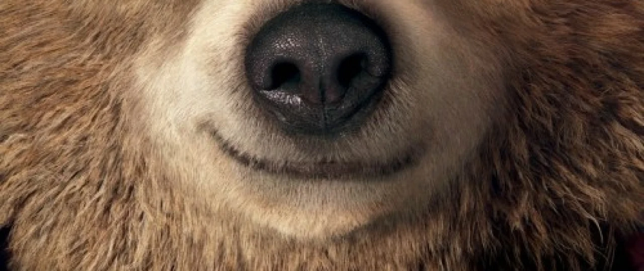 Paddington 1 / Paddingtonning sarguzashtlari 1 Uzbek tilida 2014 O'zbekcha tarjima kino HD