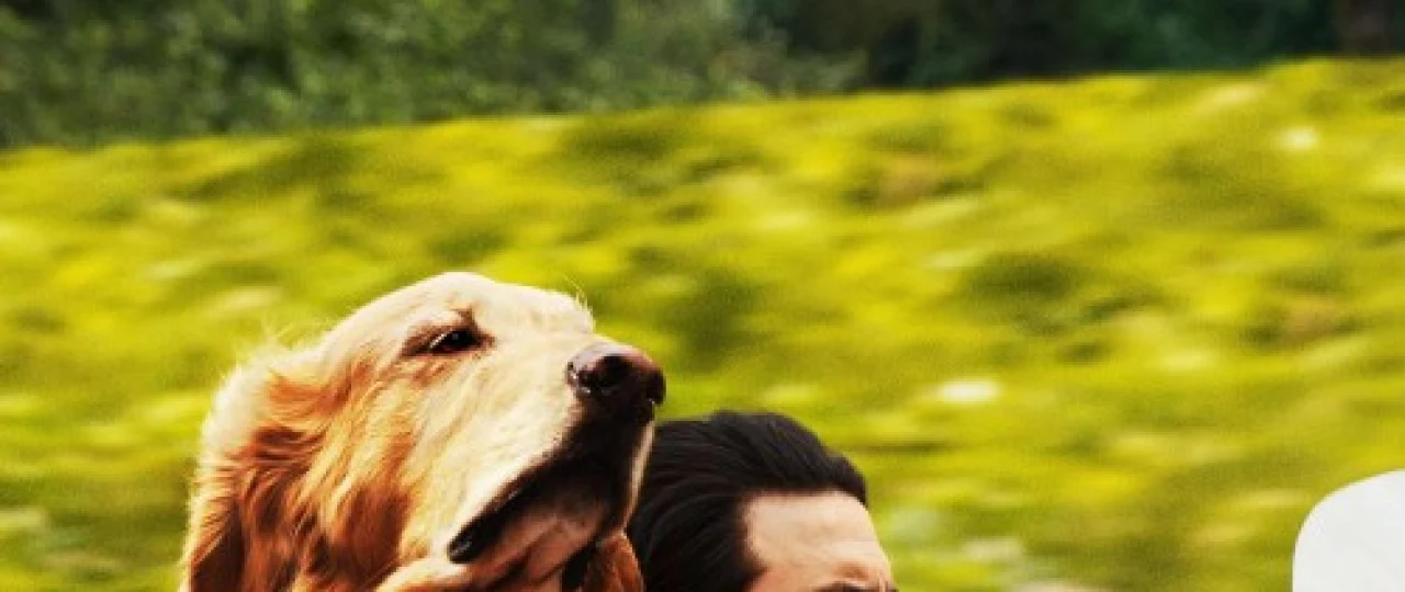 Ensoning g'aroyib hayoti / Yomg'irdagi poyga Uzbek tilida 2019 kino HD