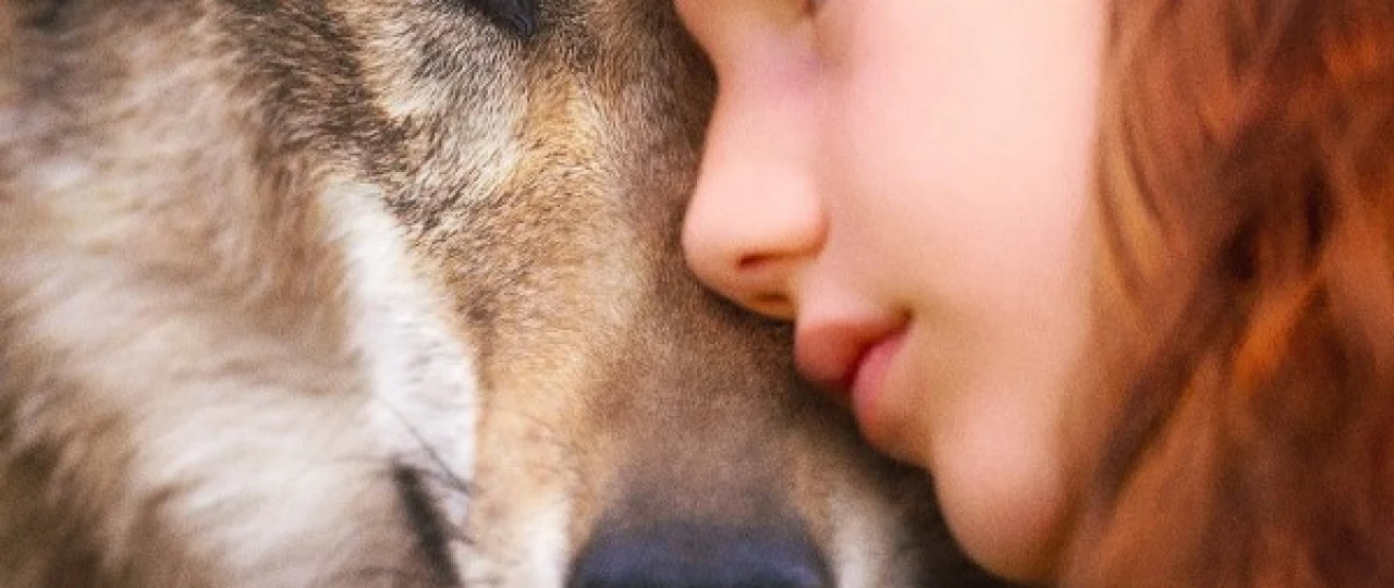 Mening Bo'rim / Bo'ri do'stim Fransiya filmi Uzbek tilida 2022 yil premyera kino O'zbekcha tarjima kino HD