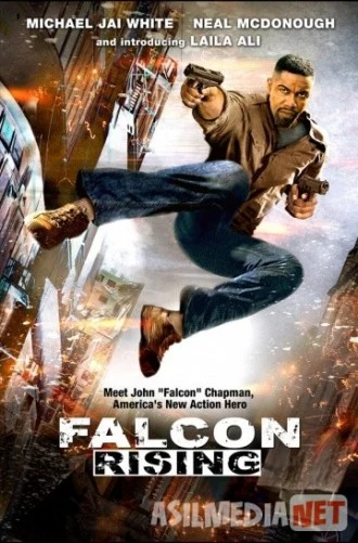 Восхождение Сокола / Falcon Rising 2014 Tas-IX skachat