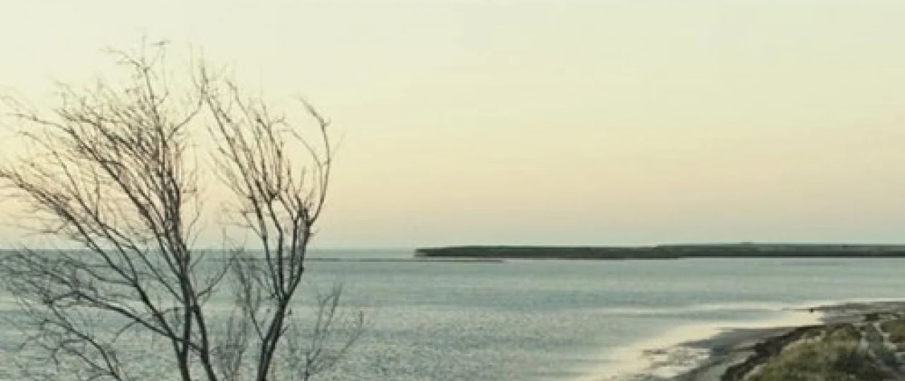 Домой 2019 Tas-ix skachat