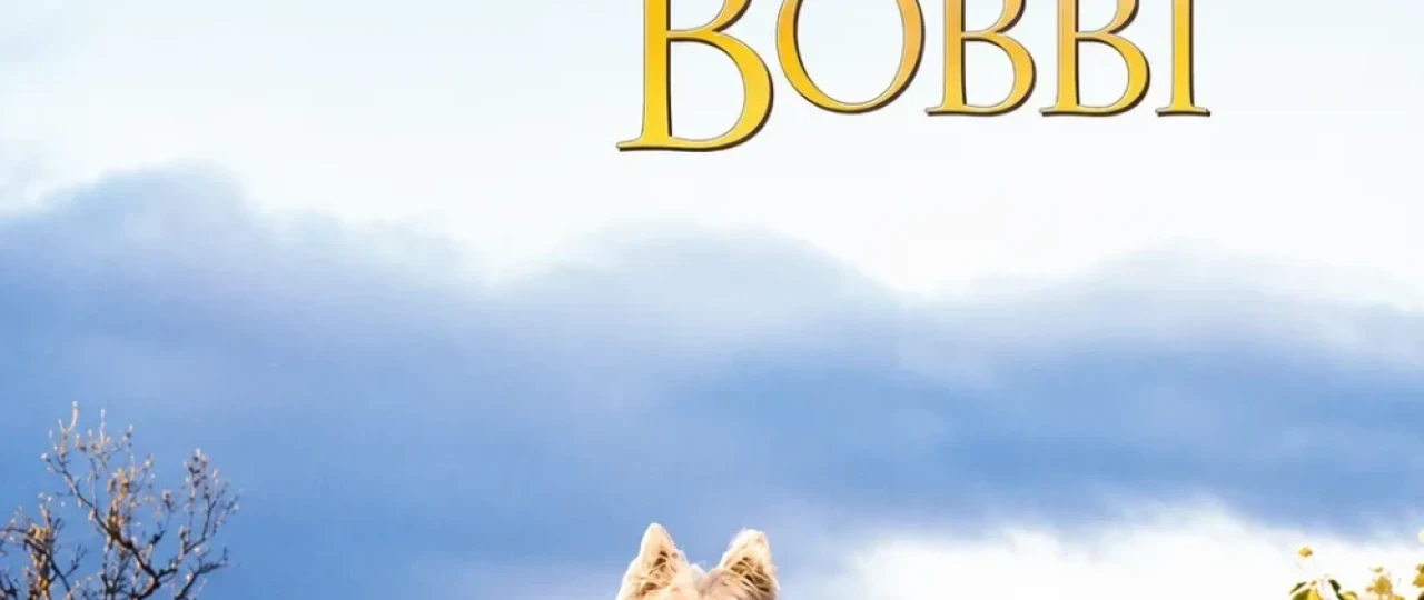 Greyfrays Bobbi /  Greyfriars Bobbining sarguzashtlari / Kichkina Bobbiy 2005 Uzbek tilida O'zbekcha tarjima kino Full HD tas-ix skachat