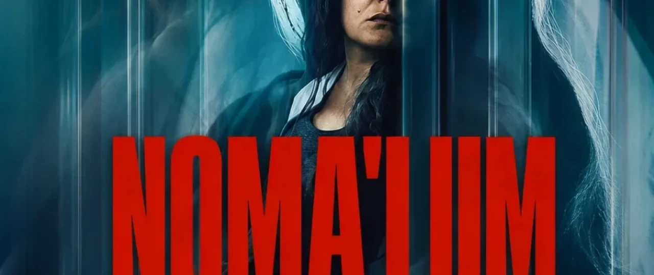 Noma'lum ayol 2026 Notanish ayol / Begona ayol Uzbek tilida O'zbekcha tarjima kino Full HD tas-ix skachat