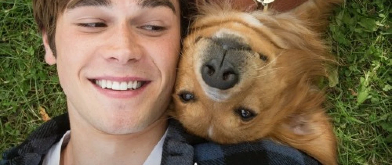 Itning Hayoti 1 / Itning maqsadi 1 Uzbek tilida 2017 O'zbekcha tarjima kino HD