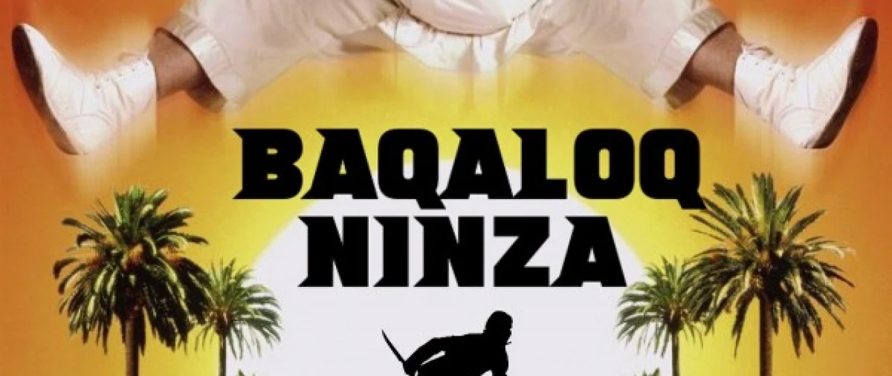 Baqaloq Ninza / Semiz Nindzya Uzbek tilida 1997 O'zbekcha tarjima film Full HD skachat