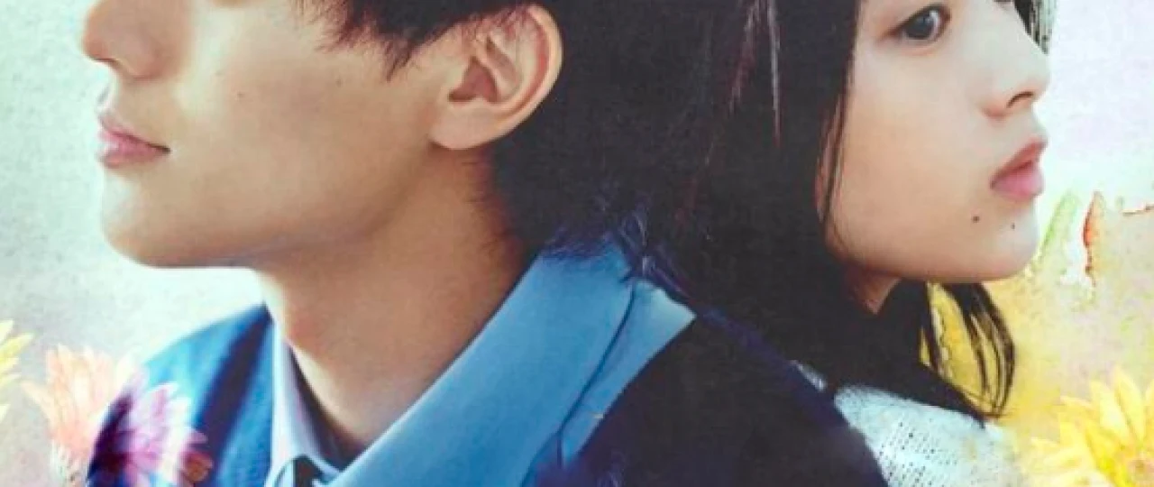 Muhabbat ranglari / O'limdan bir yil oldin sen bilan uchrashdim Yaponiya filmi Uzbek tilida O'zbekcha 2024 tarjima kino Full HD skachat