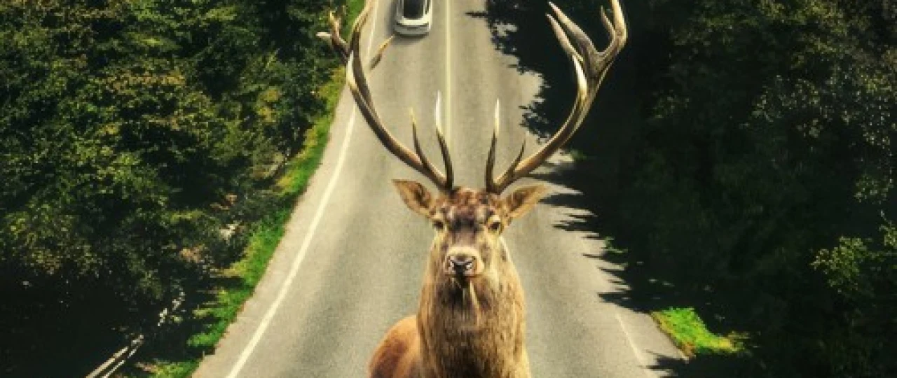 Dunyodan uzilgan Uzbek tilida 2023 O'zbekcha tarjima kino HD