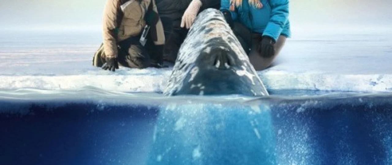 Kitlarni yaxshi ko'ramiz Uzbek tilida 2012 O'zbekcha tarjima kino HD