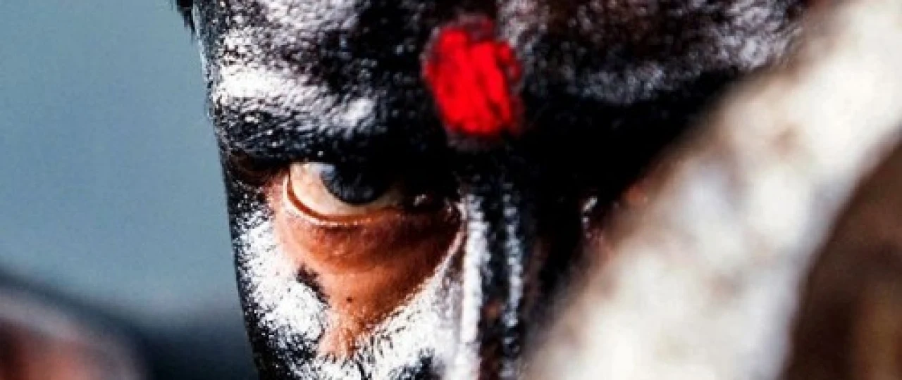 Yovuz / Raavanan Hind kino Uzbek tilida 2010 HD O'zbek tarjima