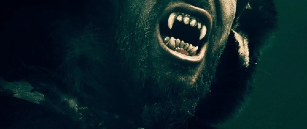 Valgalla Ragnaryok / Valhalla - Ragnarok Uzbek tilida 2019 O'zbek tarjima tas-ix skachat