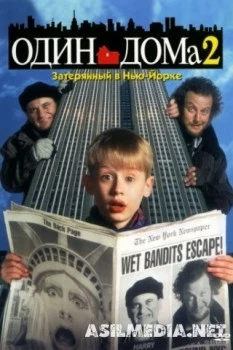 Один дома 2