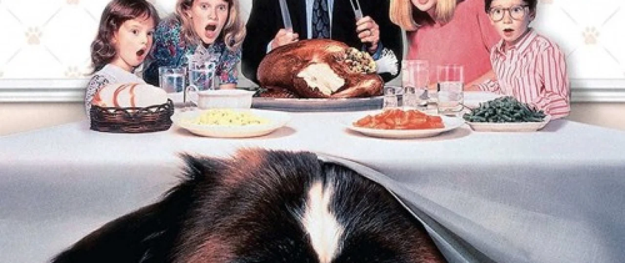 Betxoven / Bethoven kuchuk 1, 2, 3, 4, 5, 6 Uzbek tilida 1992-2008 O'zbekcha tarjima kino HD