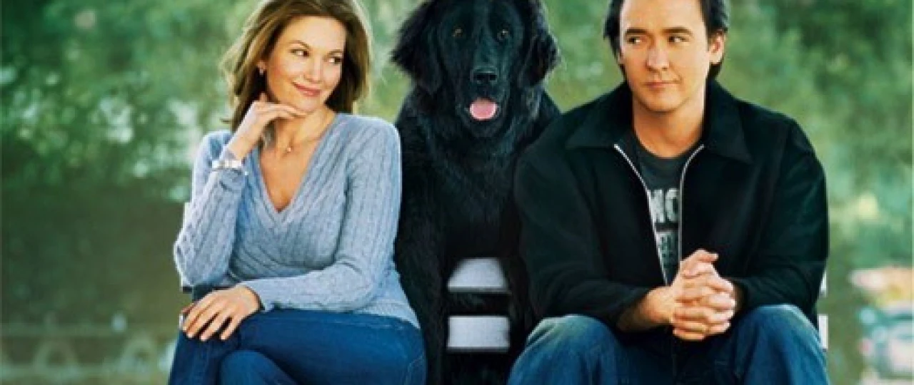 Tabiatni sevish shart / Mening itim / Itlarga bo'lgan muhabbat majburiydir / Itlarni sevish kerak Uzbek tilida 2003 O'zbekcha tarjima film Full HD skachat