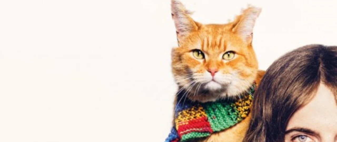 Najotkor Bob / Bob laqabli mushuk Uzbek tilida 2016 O'zbekcha tarjima kino HD