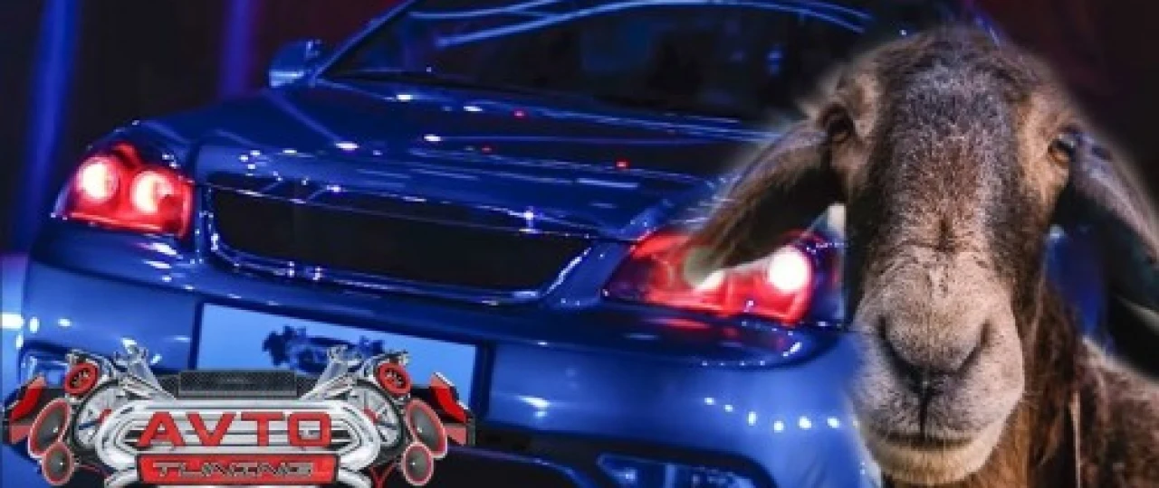 Avto tuning Zo'rtv / Auto Tuyning Zortv barcha qismlar / Hamma sonlar 1,2,3,4,5,6,7-sonlar