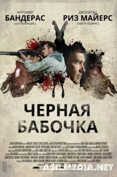 Черная бабочка