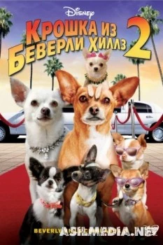 Крошка из Беверли-Хиллз 2