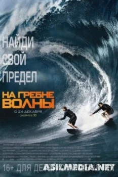 На гребне волны