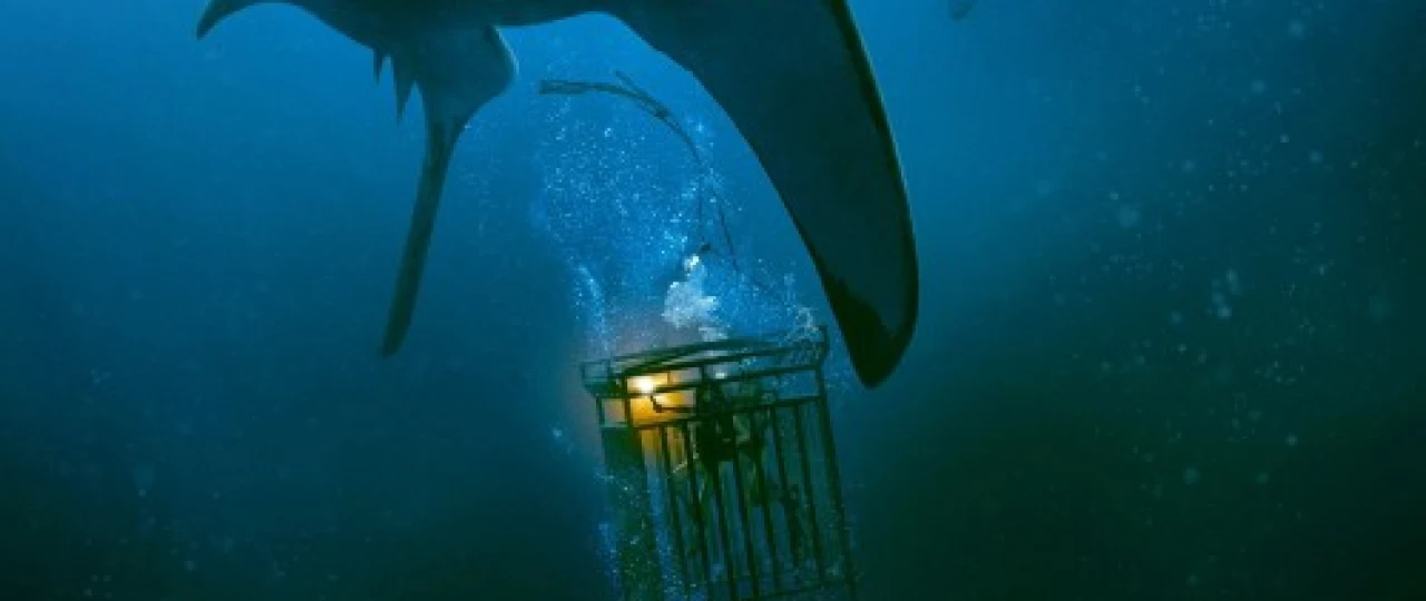 Ummon qa'rida 1 / 47 metr pastga 1 / Moviy Tubsizlik 1 Uzbek tilida 2016 O'zbekcha tarjima kino HD