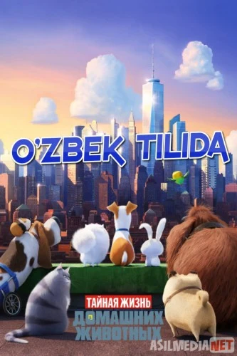 Uy hayvonlarining sirli hayoti 1 Multfilm Uzbek tilida 2016 HD O'zbek tarjima tas-ix skachat