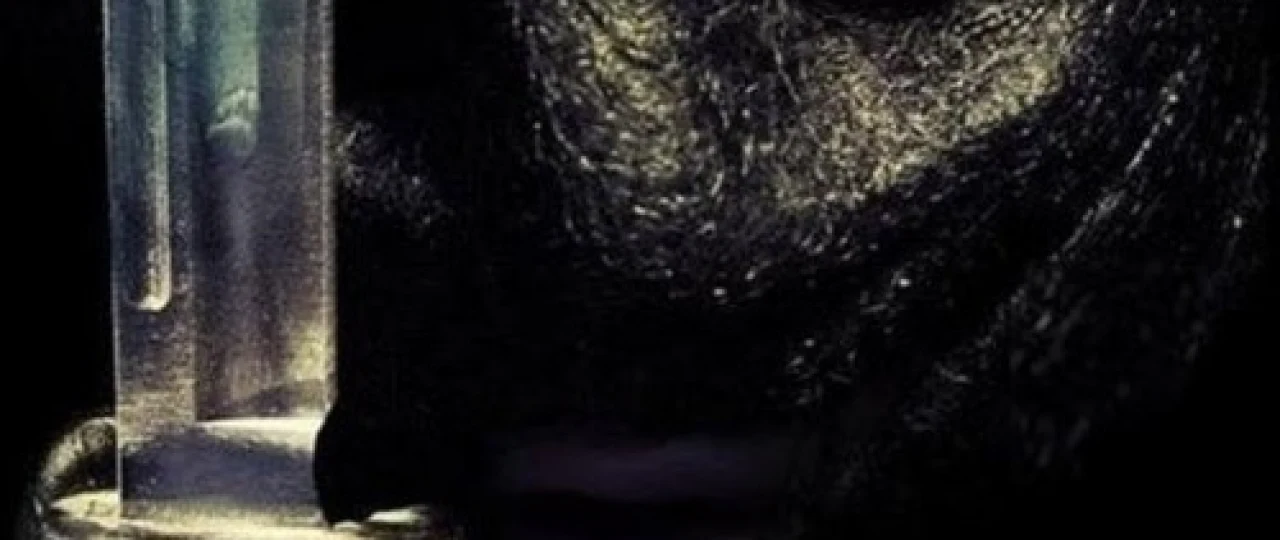 Murda yig'uvchi 2 / Kolleksioner 2 Uzbek tilida 2012 O'zbekcha tarjima kino HD