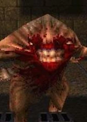 Quake-Flash Online games