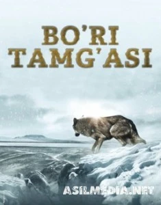 Bo'ri tamg'asi Uzbek tilida O'zbekcha tarjima kino HD