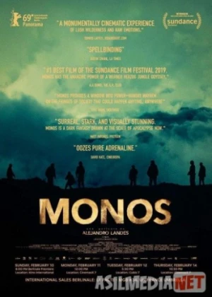 Обезьяны 2019 Tas-ix skachat