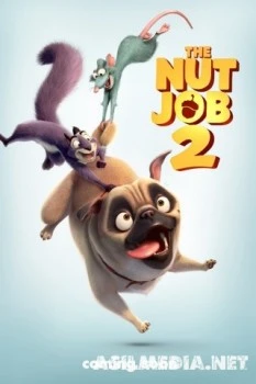 Реальная белка 2