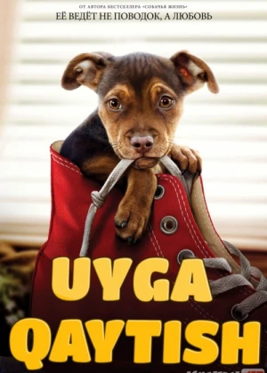 Uyga qaytish Uzbek tilida 2019 O'zbekcha tarjima kino HD