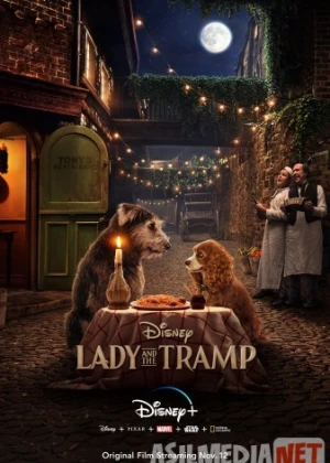 Леди и Бродяга 2019 Tas-ix skachat