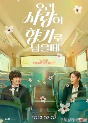 Muhabbat ifori / Sevgi ifori Premyera Koreya filmi Uzbek tilida O'zbekcha 2023 tarjima kino Full HD tas-ix skachat