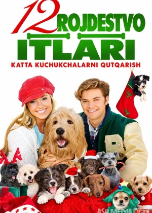 12 Rojdestvo itlari 2 / Rojdestvo itlari: Katta itlarni qutqarish / Rojdestvoni 12 iti 2 2012 Uzbek tilida O'zbekcha tarjima kino Full HD tas-ix skachat