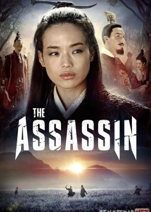 Qotil Assassin (Hong Kong filmi) Uzbek tilida 2015 O'zbekcha tarjima film Full HD skachat