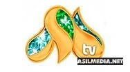 Milliy TV