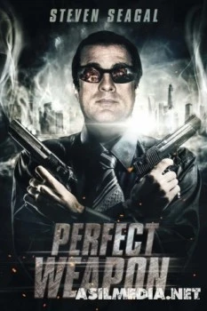 Совершенное оружие