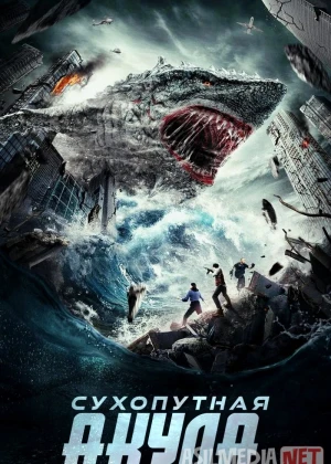 Akula hamlasi Uzbek tilida 2020 O'zbekcha tarjima kino HD